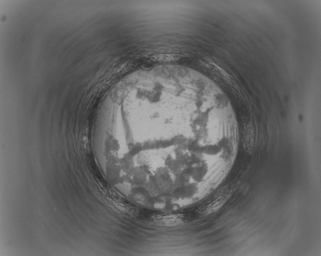 X0000068830553200605261618