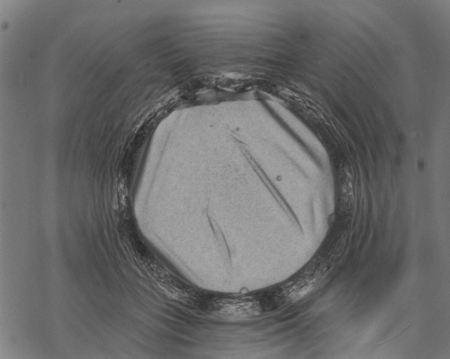 X0000068830555200605261618