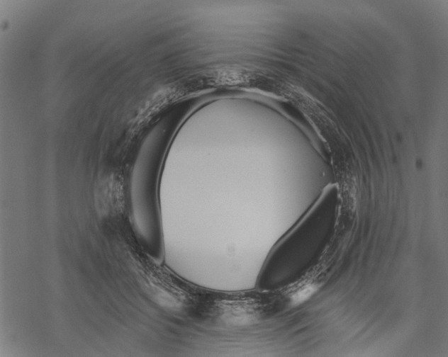 X0000068830556200605261618