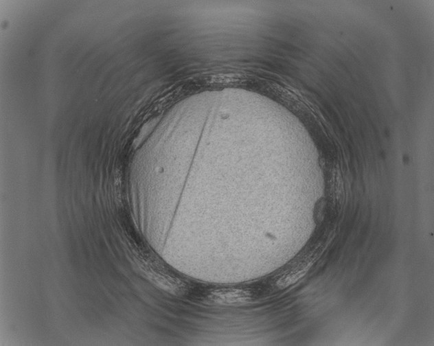 X0000068830557200605261618