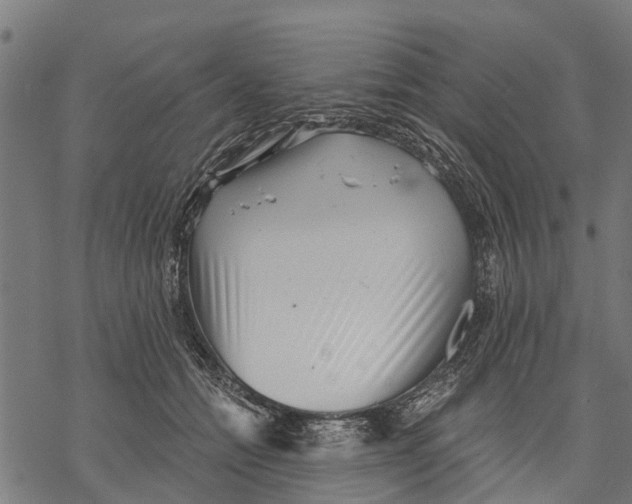 X0000068830558200605261618