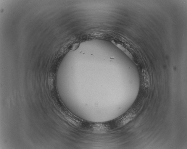 X0000068830562200605261618