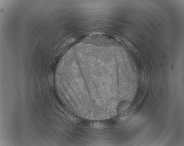 X0000068830565200605261618