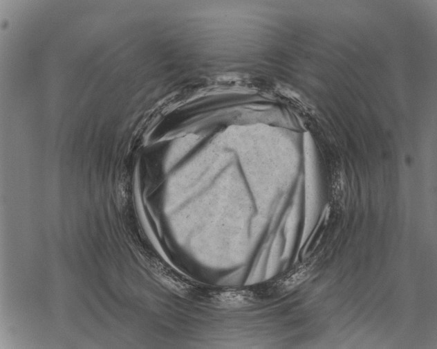 X0000068830566200605261618