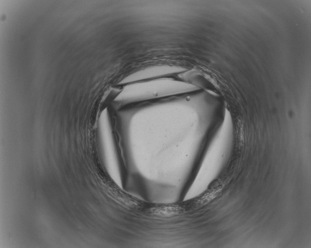 X0000068830567200605261618