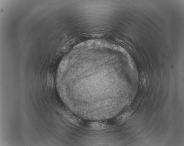 X0000068830568200605261618