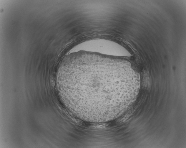 X0000068830569200605261618