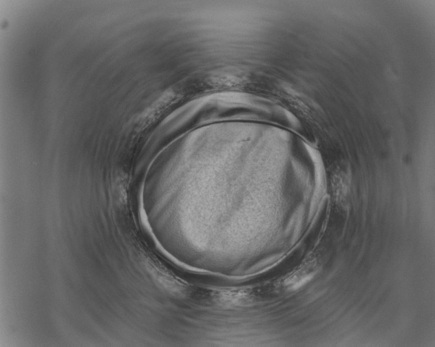 X0000068830570200605261618