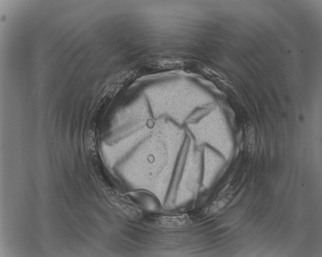 X0000068830571200605261618