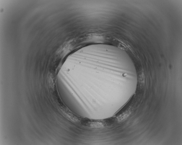 X0000068830572200605261618