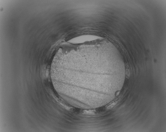 X0000068830573200605261618