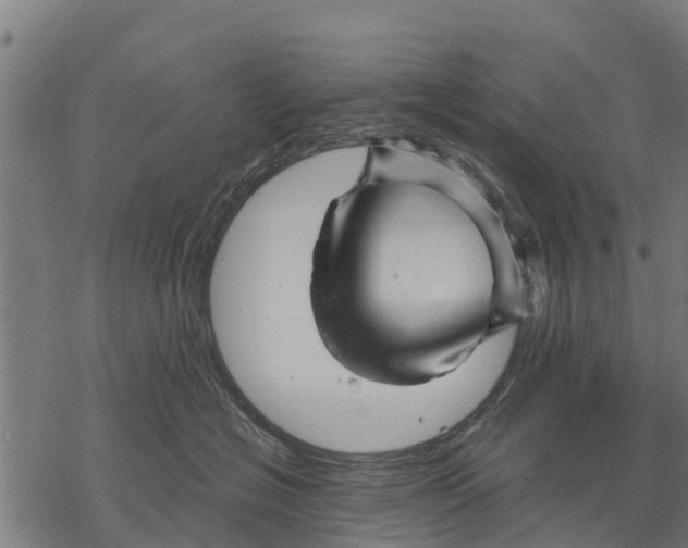 X0000068830574200605261618