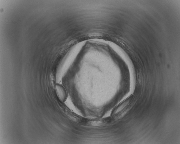 X0000068830575200605261618