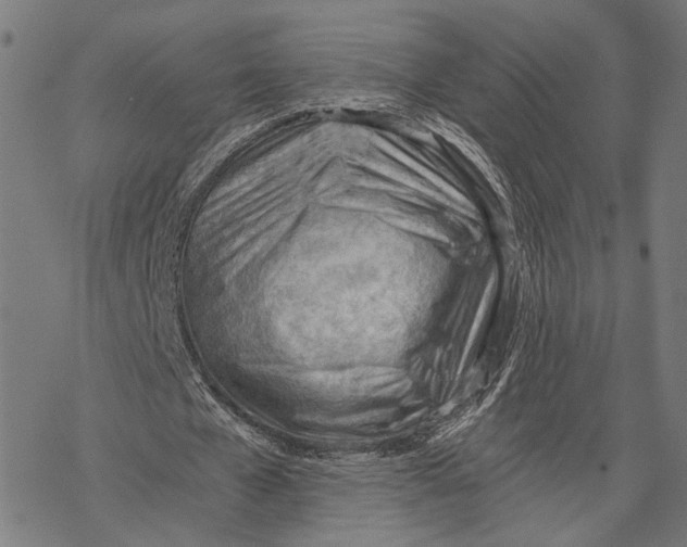 X0000068830577200605261618