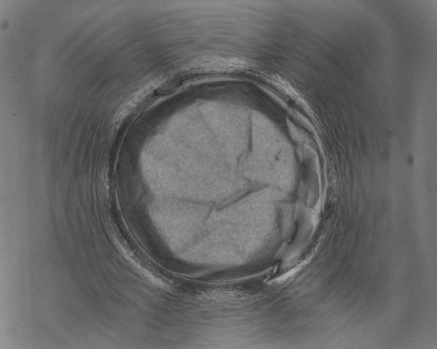 X0000068830581200605261618