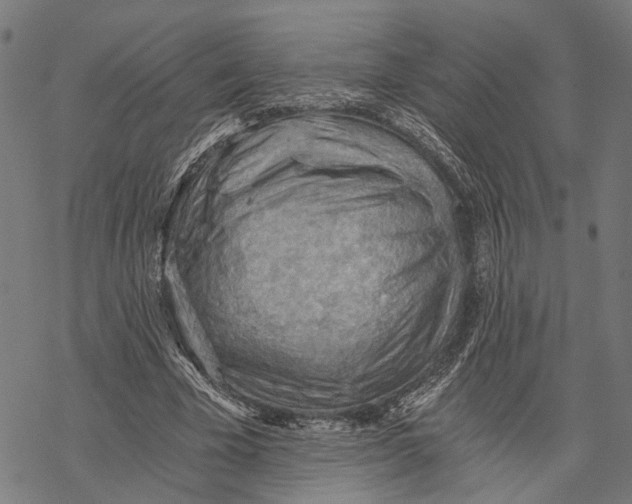 X0000068830585200605261617