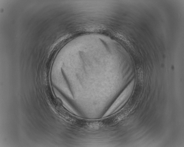 X0000068830587200605261617