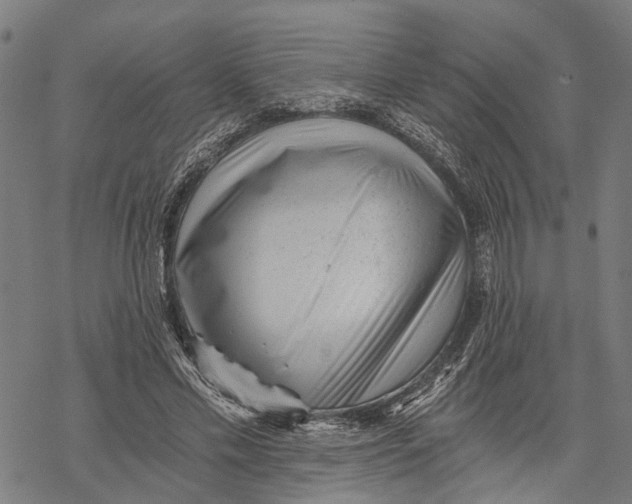 X0000068830589200605261617