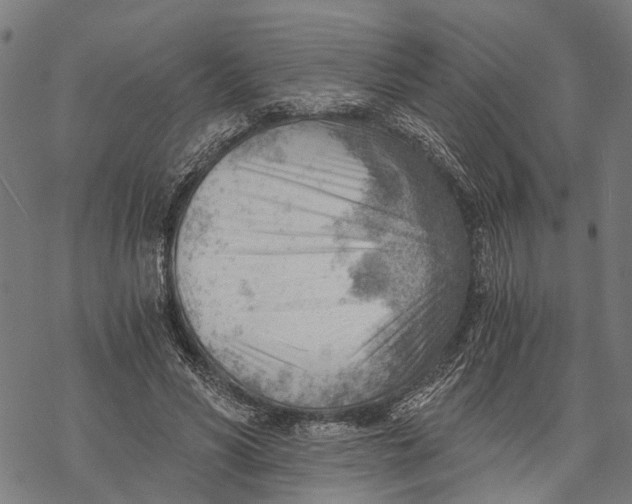 X0000068830590200605261617