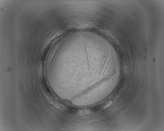 X0000068830591200605261617