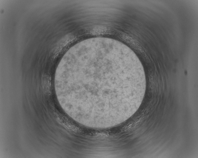 X0000068830592200605261617