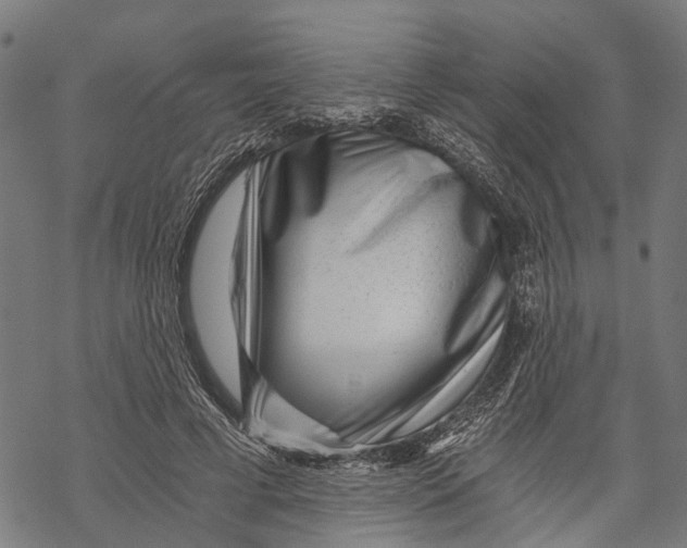 X0000068830593200605261617