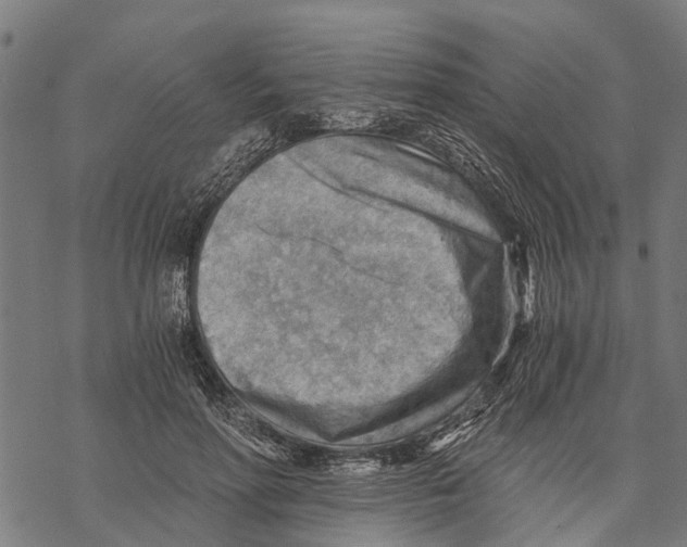 X0000068830598200605261617