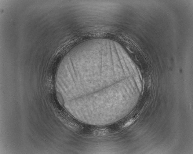 X0000068830599200605261617