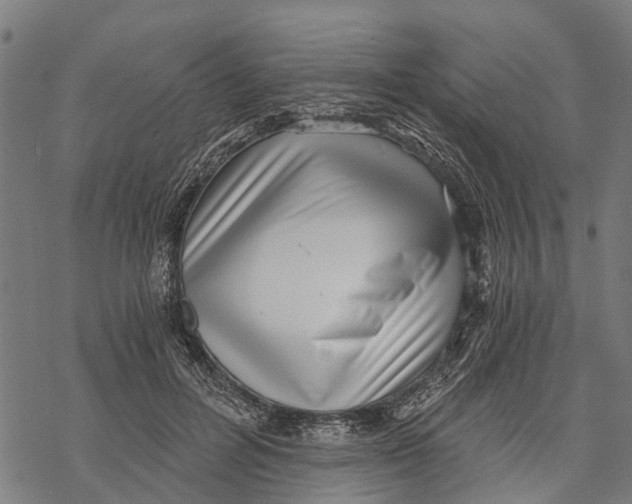 X0000068830600200605261617