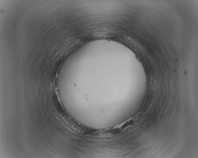 X0000068830601200605261617