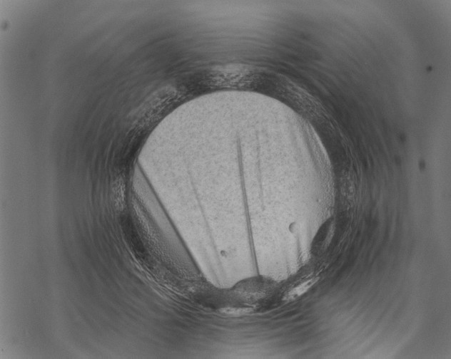 X0000068830602200605261617