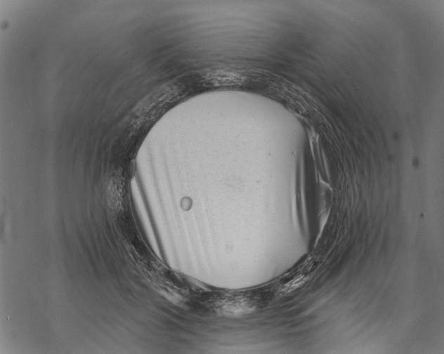 X0000068830604200605261617