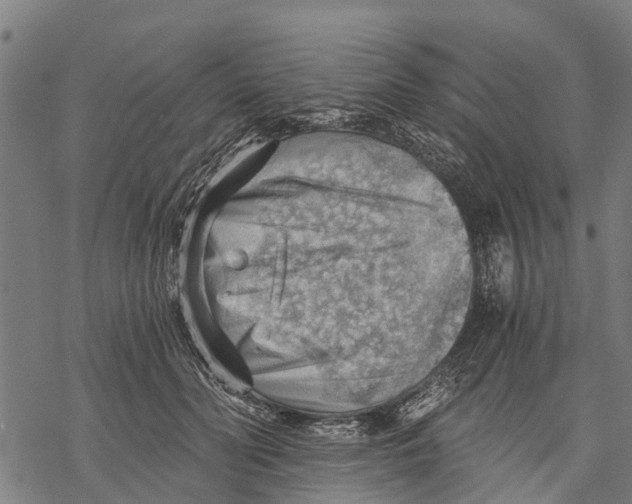 X0000068830606200605261617