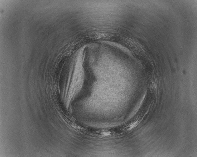 X0000068830607200605261617