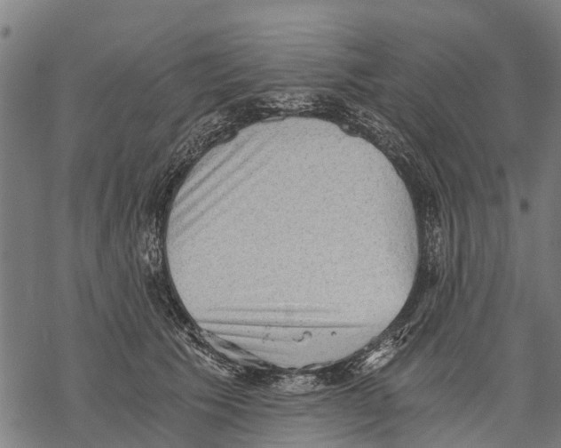 X0000068830609200605261617