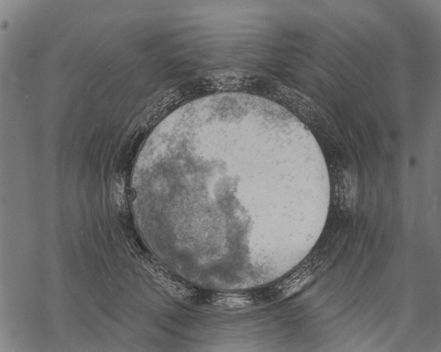 X0000068830610200605261617