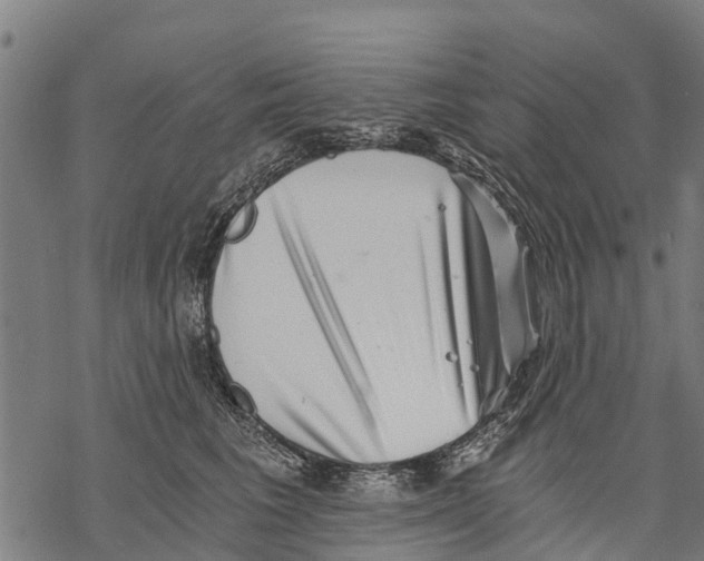 X0000068830613200605261617