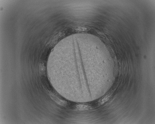 X0000068830614200605261617