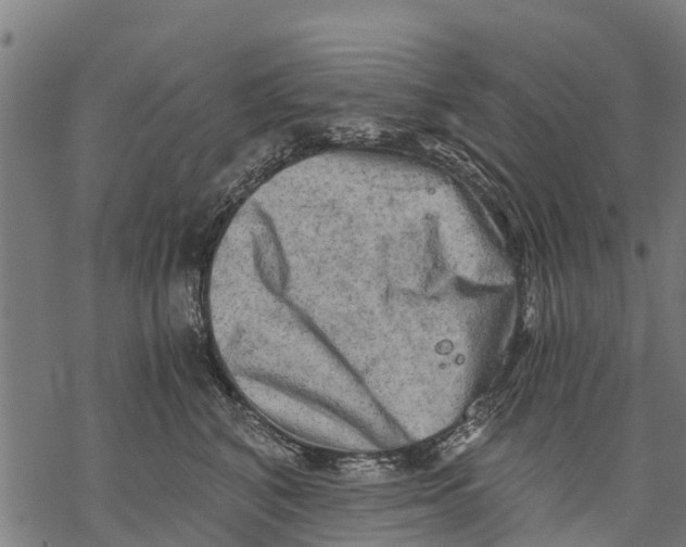 X0000068830616200605261617