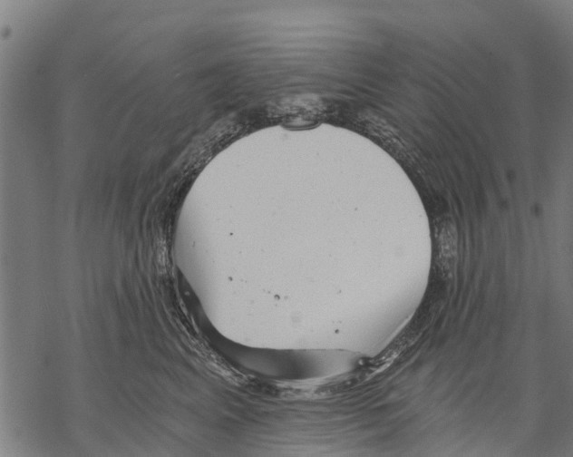 X0000068830617200605261617