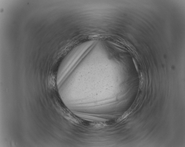 X0000068830621200605261617