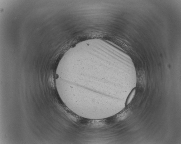 X0000068830622200605261617