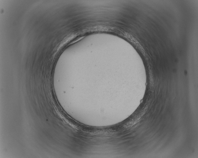 X0000068830625200605261616