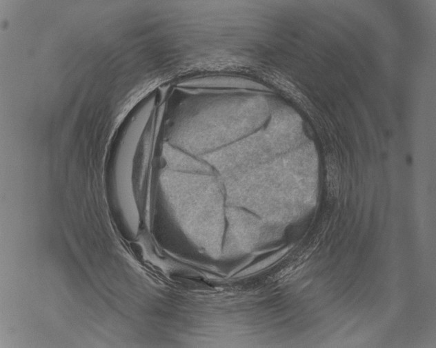 X0000068830626200605261616