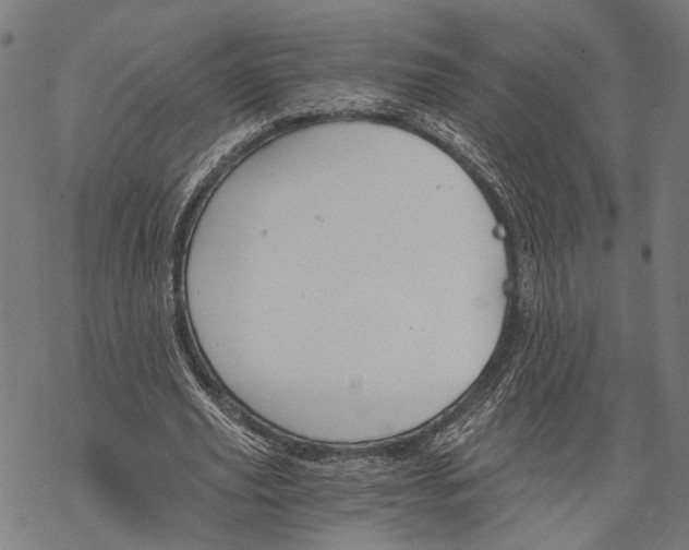 X0000068830629200605261616