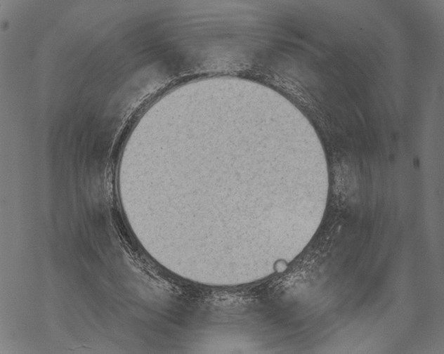 X0000068830632200605261616