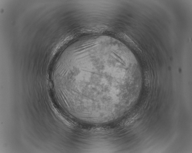 X0000068830634200605261616