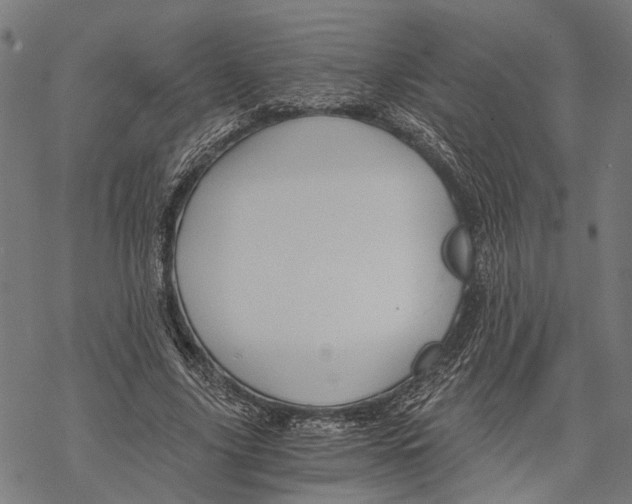 X0000068830635200605261616