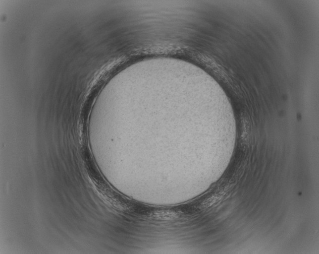 X0000068830636200605261616