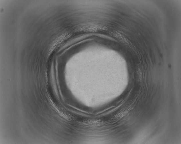 X0000068830638200605261616